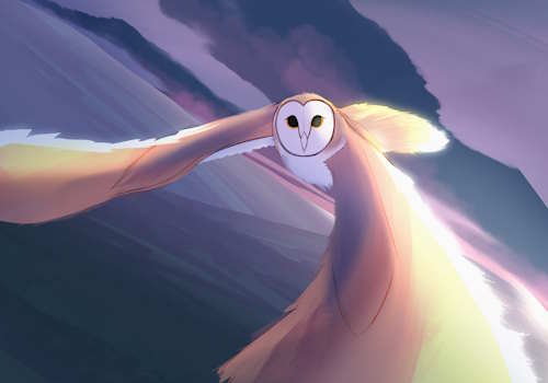 A barn owl, flying high in the air at either sunset or sunrise, torwards the viewer.  there is hilly land far below them, and clouds behind them.